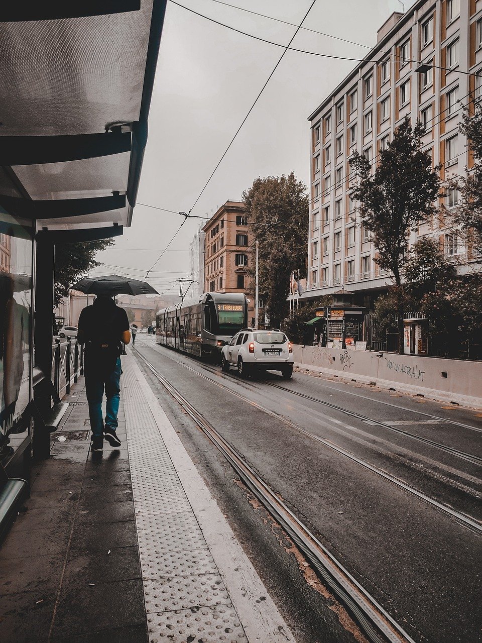 street, buildings, tram-7275461.jpg